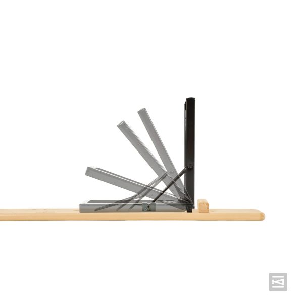 434056748_728771982774934_3579862414740029167_n