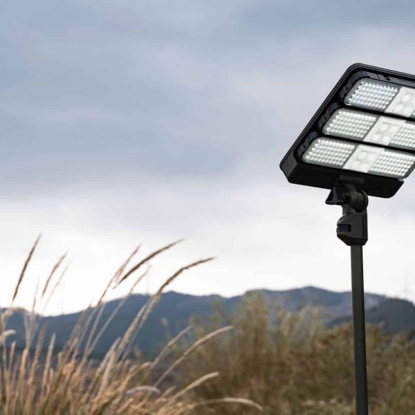 WhatsApp Image 2022-08-03 at 10.00.00