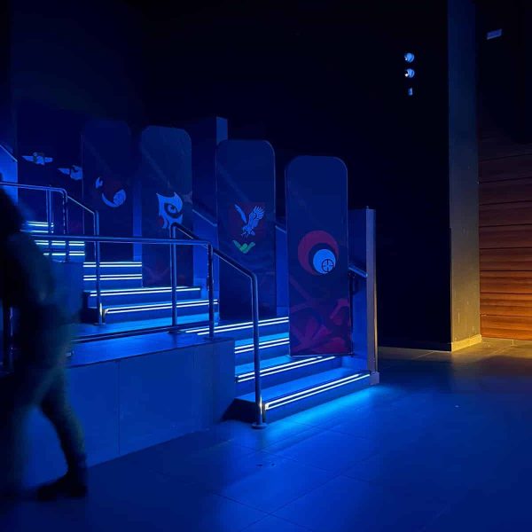 אווירה לסטנאפים