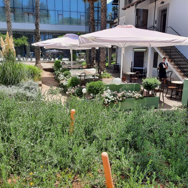 גסטרונומי4 על 4 אניטה מודפס פול פרינט פלקסי ריקמה (3)