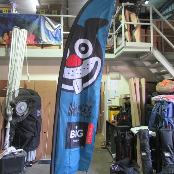 דגל חוף דו שיכבתי לגיון מוזס (2)