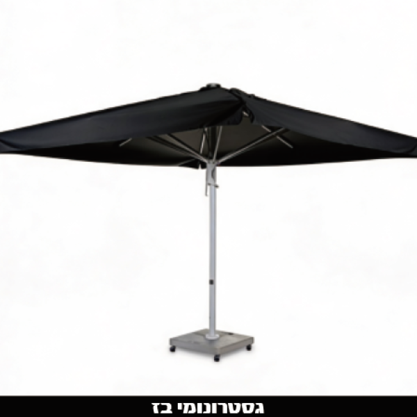 ‏‏לכידה