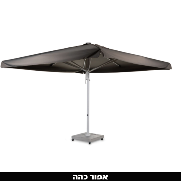 ‏‏לכידה
