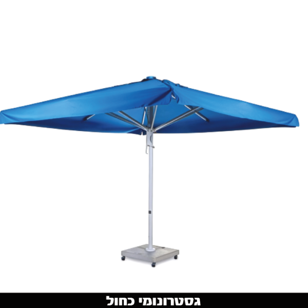 ‏‏לכידה