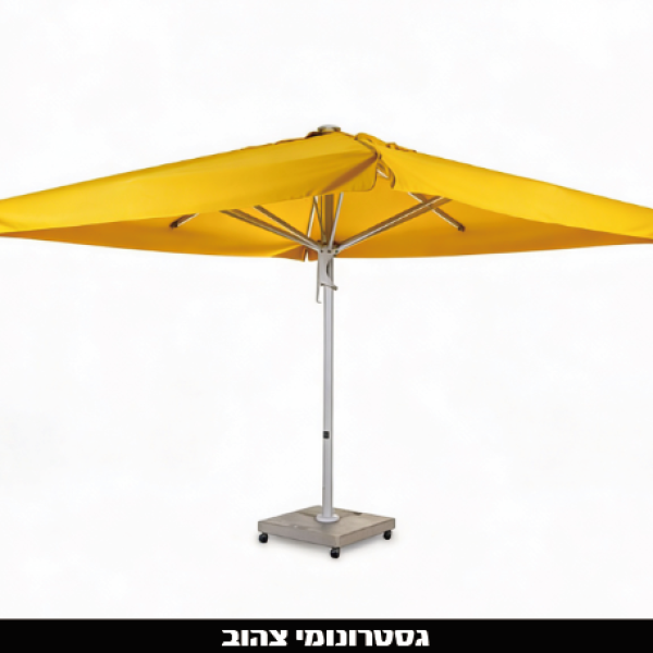 ‏‏לכידה