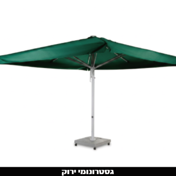 ‏‏לכידה